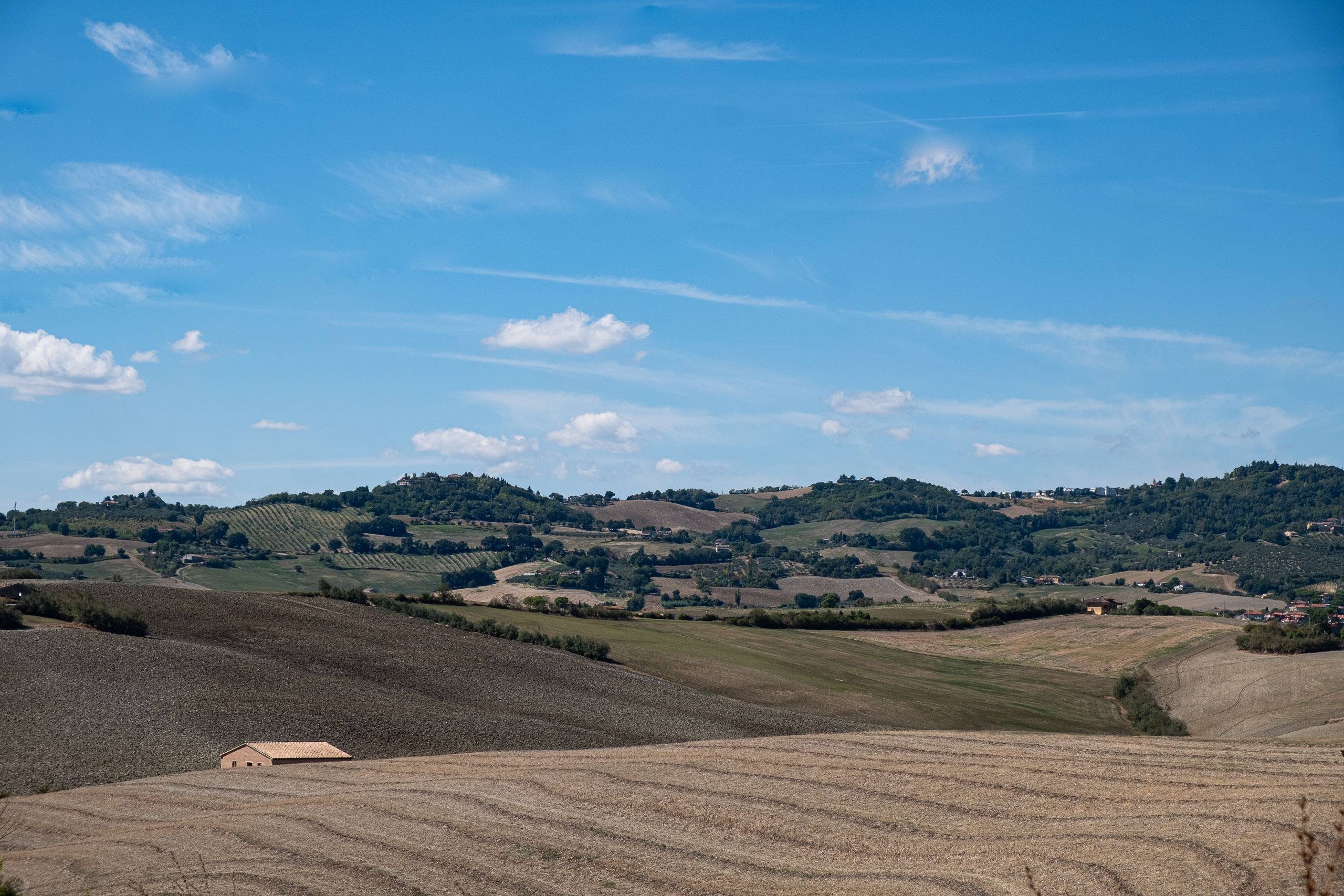Rimini – Urbino: Granatäpfel, Schotteranstieg und die Dächer von Urbino
